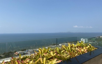 Riviera Jomtien, Pattaya City, Bang Lamung, Chonburi, 1 Bedroom Bedrooms, ,1 BathroomBathrooms,Condo,Sale,The Riviera Jomtien,Riviera Jomtien,7,1165