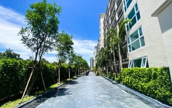 Dusit Grand Park 2, Pattaya City, Bang Lamung, Chonburi, 1 Bedroom Bedrooms, ,1 BathroomBathrooms,Condo,Rental,Dusit Grand Park 2,Dusit Grand Park 2,4,1506