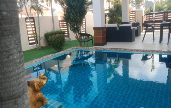 414/16 Moo.12 Tambon Nongprue Amper Banglamung cho, Chonburi, 3 Bedrooms Bedrooms, ,2 BathroomsBathrooms,House,Rental,Dusit Garden6,414/16 Moo.12 Tambon Nongprue Amper Banglamung cho,1714