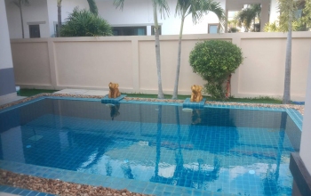 414/16 Moo.12 Tambon Nongprue Amper Banglamung cho, Chonburi, 3 Bedrooms Bedrooms, ,2 BathroomsBathrooms,House,Rental,Dusit Garden6,414/16 Moo.12 Tambon Nongprue Amper Banglamung cho,1714